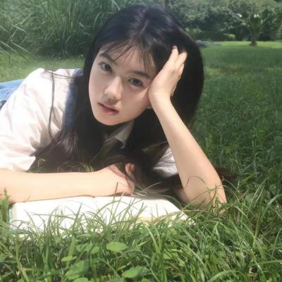 凤舞龙翔